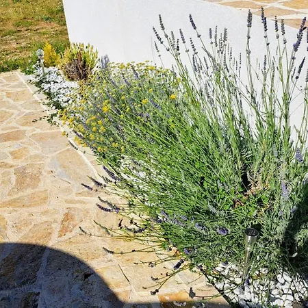 Villa Luxury Agape - Heated Pool, Jacuzzi & Peaceful Retreat Near Zadar